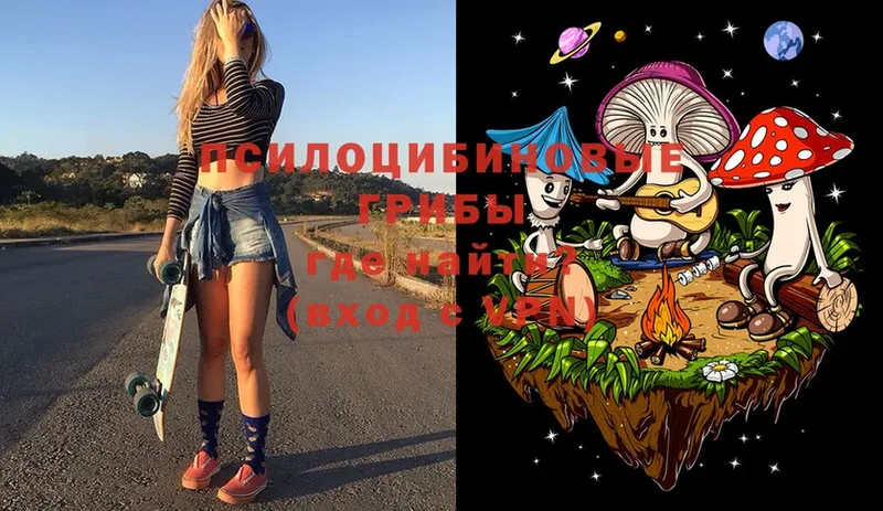 Псилоцибиновые грибы Psilocybe  гидра зеркало  Сафоново 